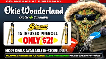 Okie Wonderland - Claremore 🔥 STINGERS INFUSED 1G PREROLL🔥🔥 ONLY $2!!🔥