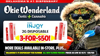 Xclusive Norman by Okie Wonderland NOW OPEN! 🔥🔥 INJOY 2G DISPOSABLE 3/$50 🔥🔥ALL FLAVORS🔥🔥