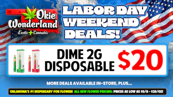 Skunks Den Dispensary Tulsa by Okie Wonderland 🔥 DIME 2G DISPOSABLE ONLY $20!🔥