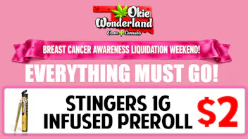 Okie Wonderland Dispensary - OKC/The Village STINGERS INFUSED PREROLL $2
