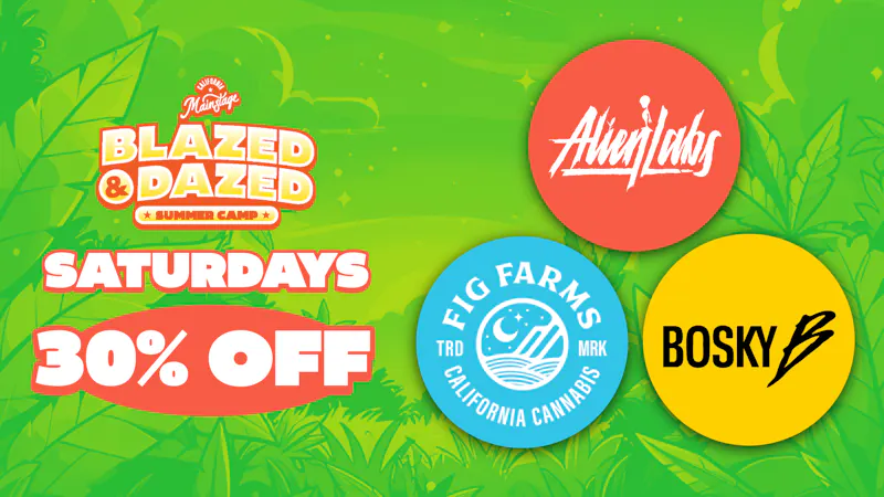 MainStage 30%BlazedSaturday