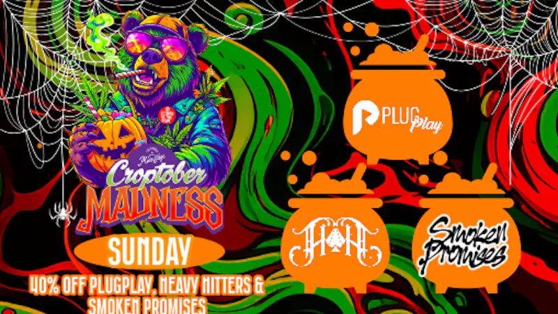 MainStage 40%PlugPlaySunday