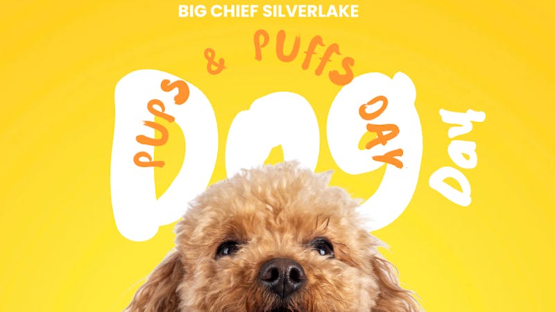 Big Chief Cannabis Dispensary 🐾 TUESDAY – PUPS & PUFFS DAY