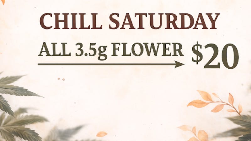 Big Chief Cannabis Dispensary Chill Out Saturday