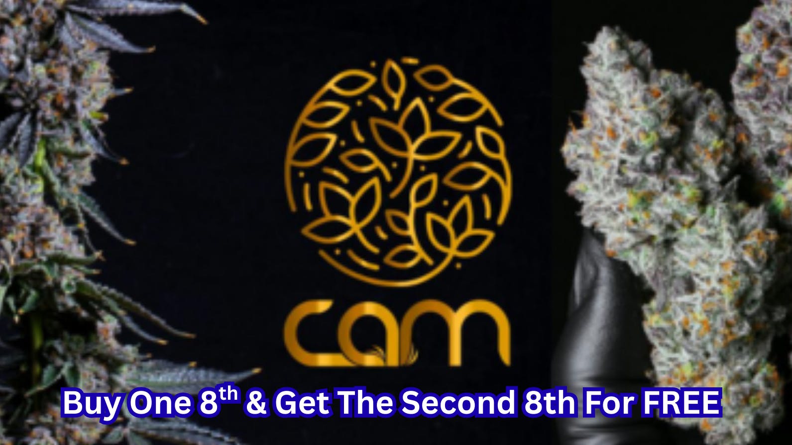 Big Chief Cannabis Dispensary CAM 3.5G JAR 🔥 ‼️BUY 1 GET 1 ‼️