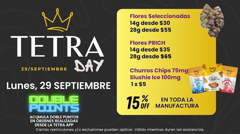 TETRA - ISLA VERDE 👑TETRA DAY👑