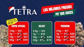 TETRA - GUAYNABO Los Mejores Precios en Flores