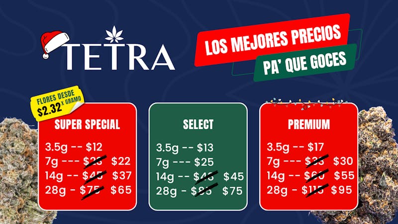 TETRA - GUAYNABO Los Mejores Precios en Flores