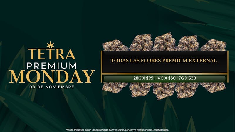 TETRA - BAYAMÓN HATO TEJAS 🌸🌿 Premium Monday 🌿🌸