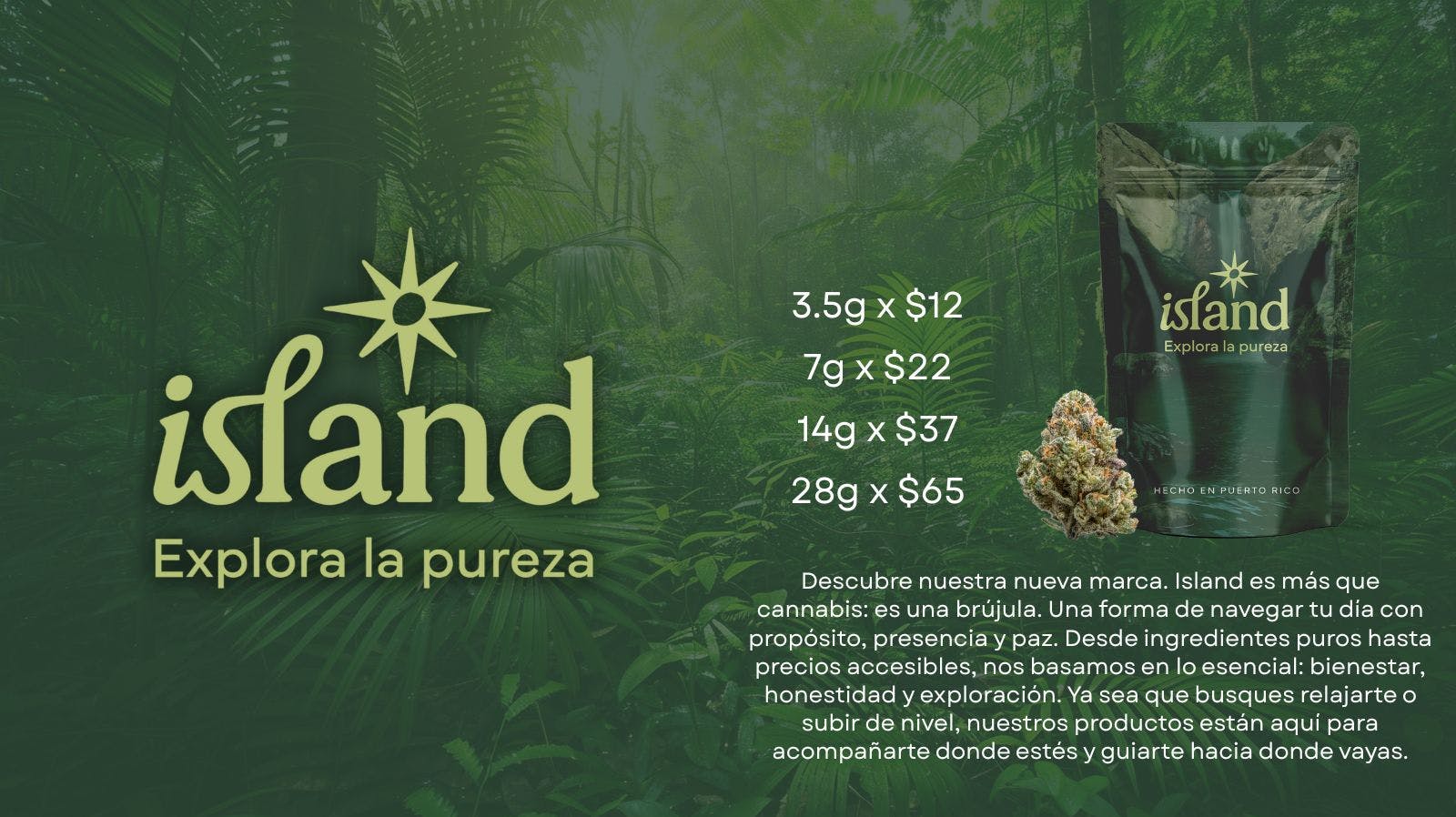 TETRA - GUAYNABO Explora Island