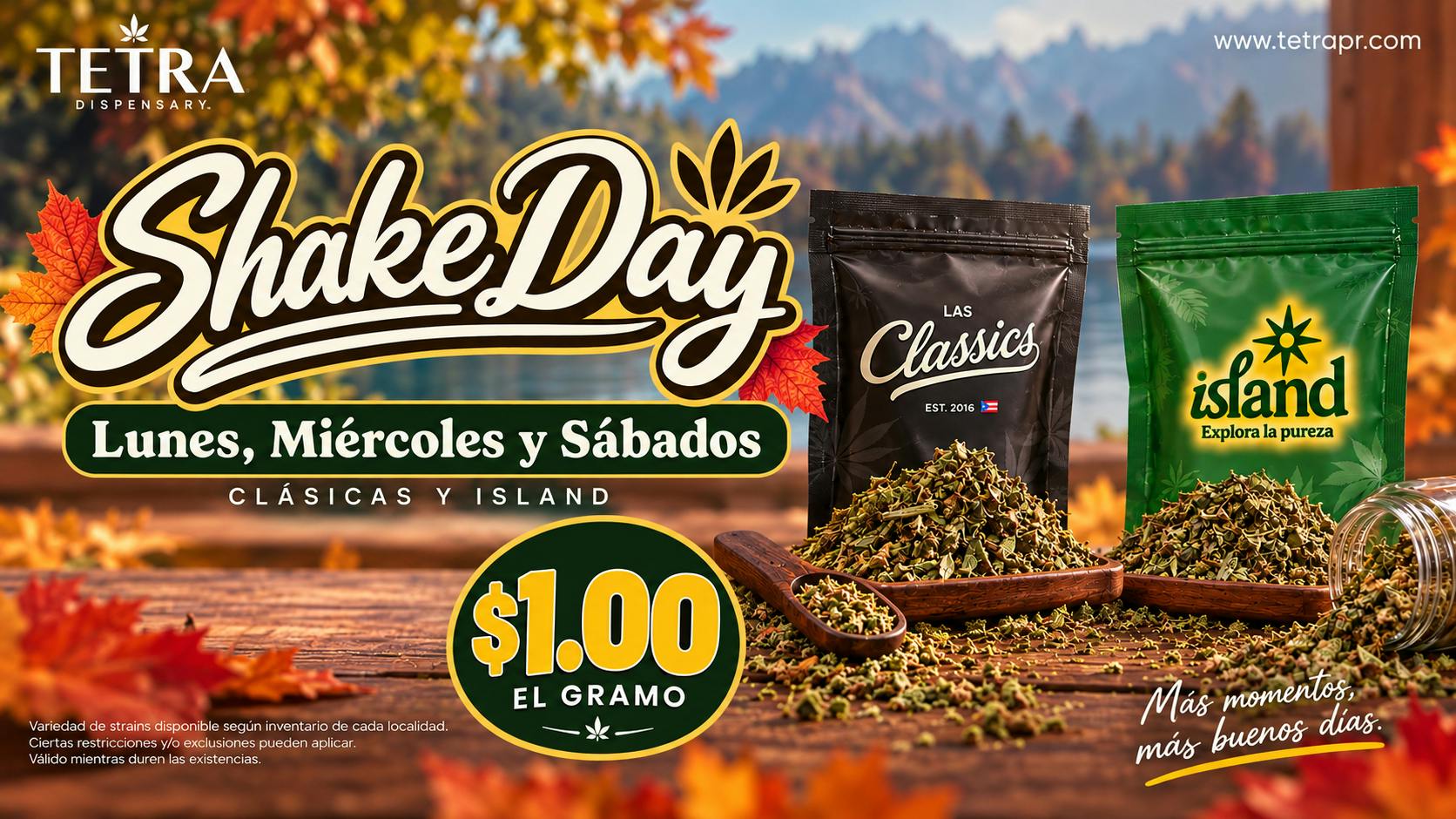 TETRA - PONCE M,W,S Shake Day