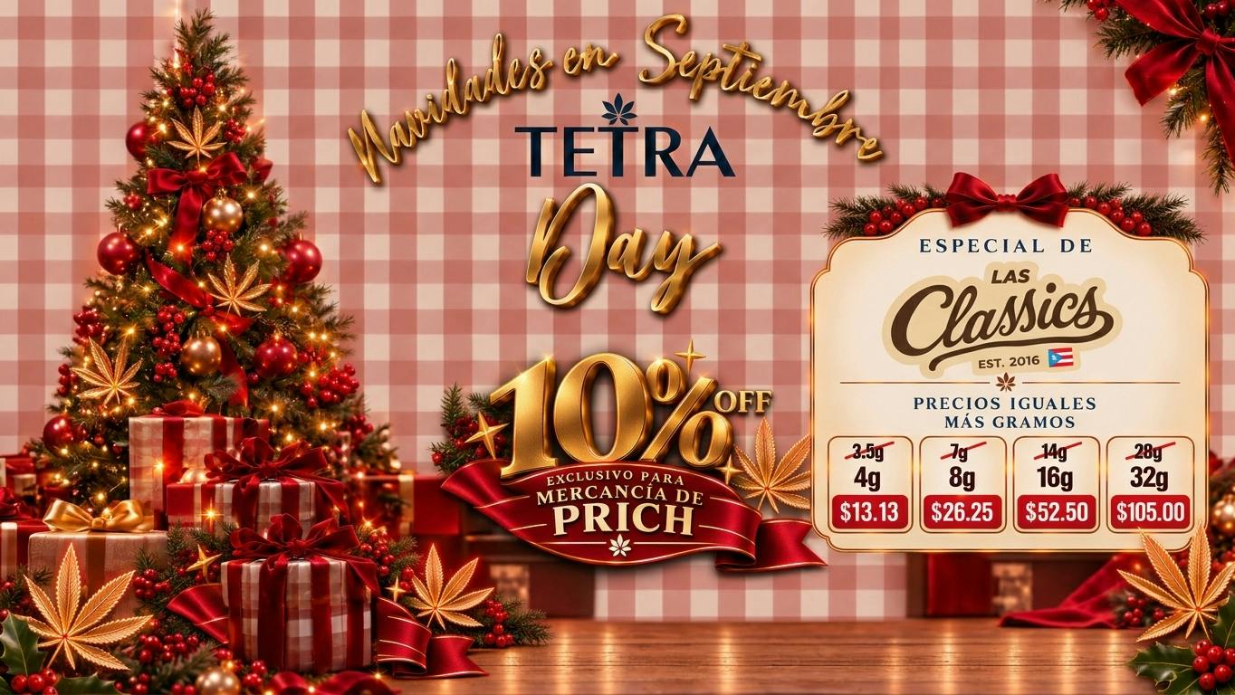 TETRA - AÑASCO Tetra Day- Navidades en Septiembre