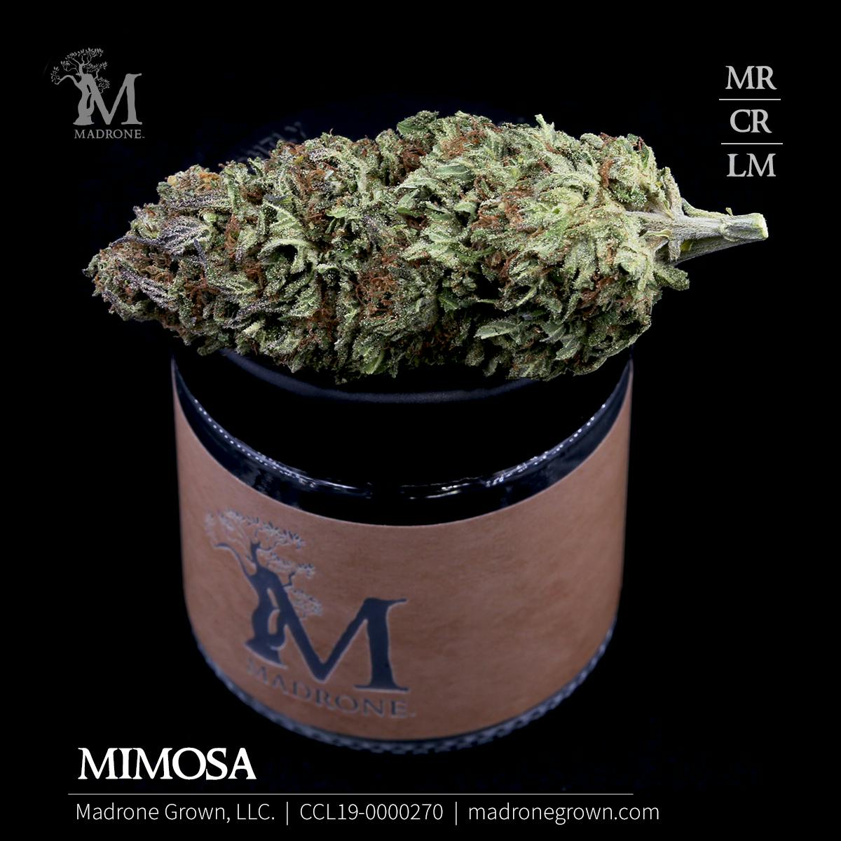 Alpaca Club Delivery - Delivery Listing - Photo 1