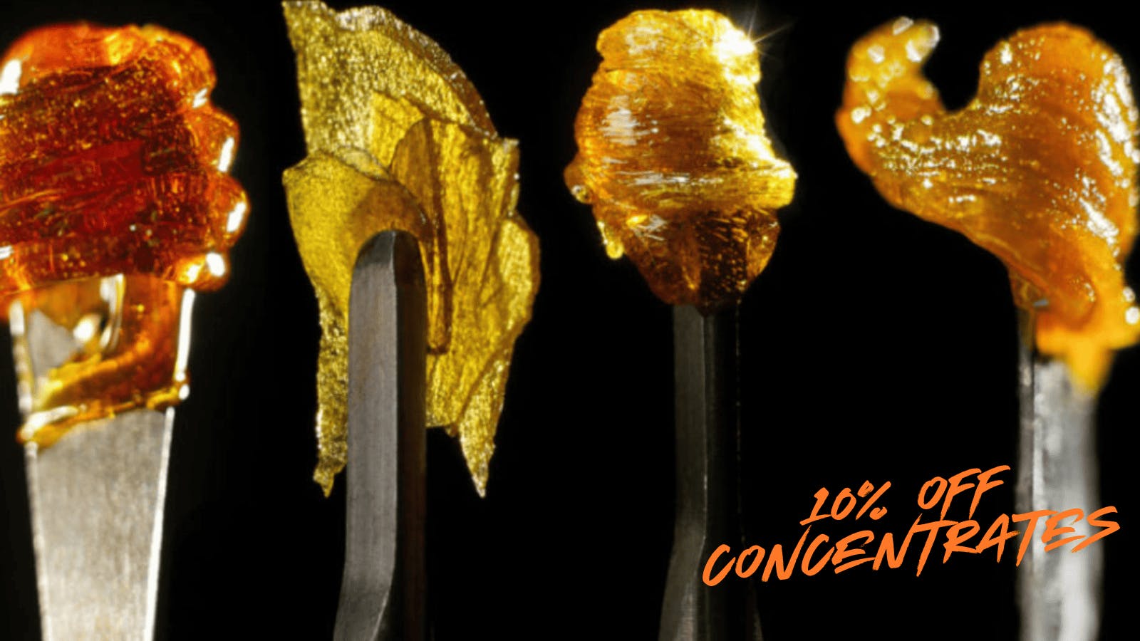 Mari MED SHATTERDAY_2026