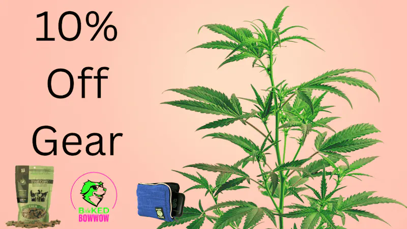 Mari MED **Receive 10% Off Gear**