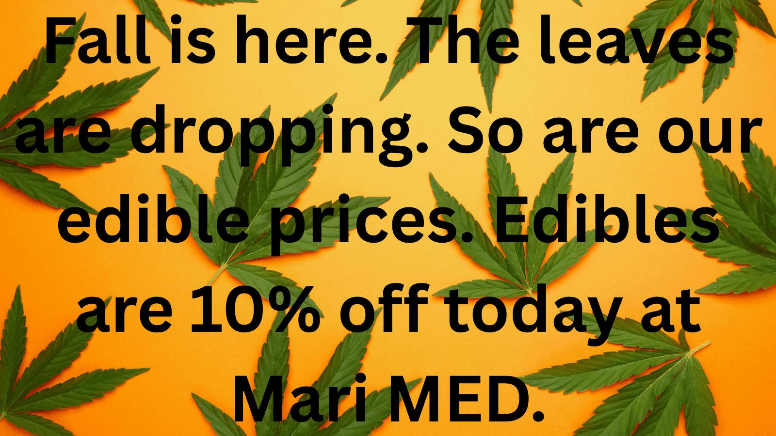 Mari MED 🍂🎃Get Baked This Fall 🍂🎃