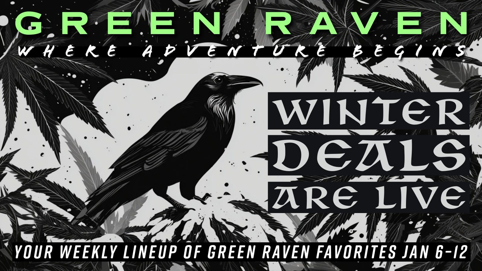 Green Raven Winter Weekly Specials | Jan 6–12 ❄️