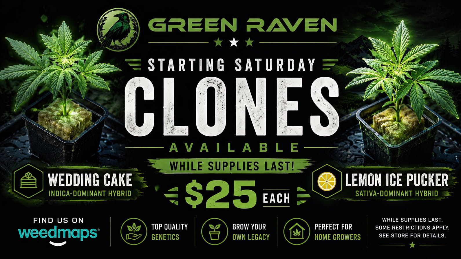 Green Raven Clone Sale Starts Today