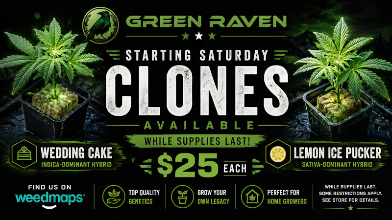 Green Raven Clone Sale Starts Today