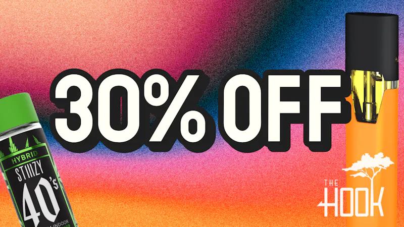 The Hook Outlet - Santa Cruz 30% OFF STIIIZY