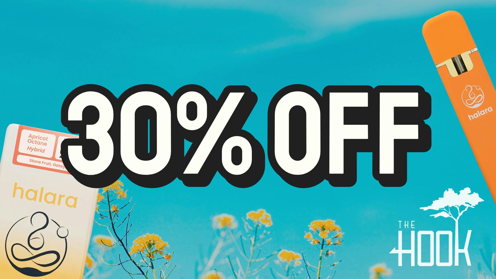 The Hook Outlet - Santa Cruz 30% OFF HALARA VAPES