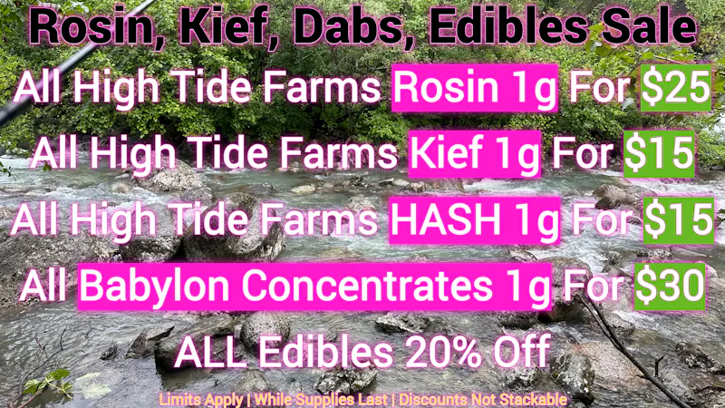 Laughing Salmon Cannabis PFD Shatterday!!