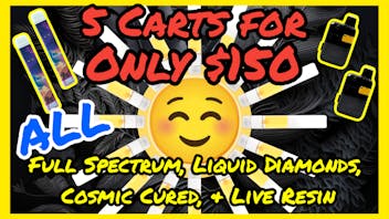 24 Hour Flower “It's gonna be a bright (bright), bright (bright)