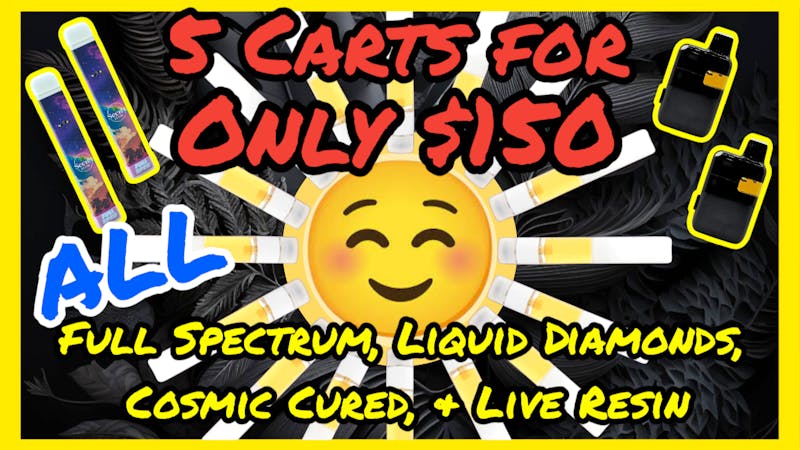 24 Hour Flower “It's gonna be a bright (bright), bright (bright)