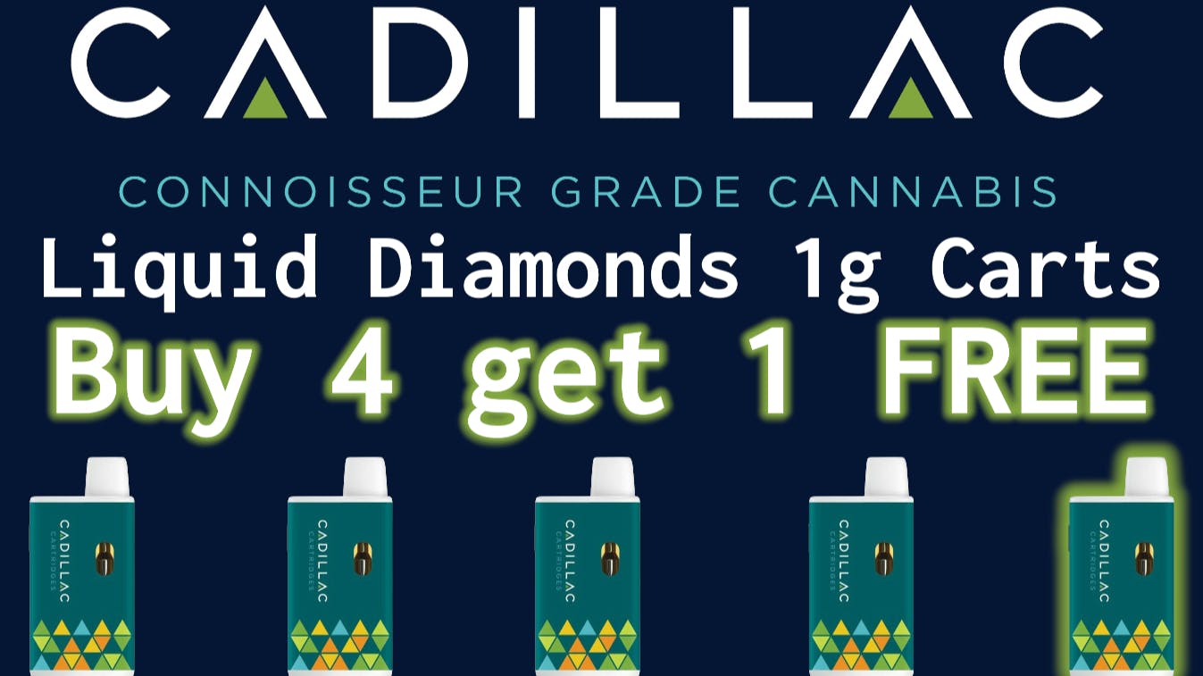 24 Hour Flower Shine bright like a (Liquid Diamond)