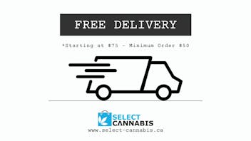 Select Cannabis Co. - Stony Plain Rd EDMONTON FREE WEED DELIVERY
