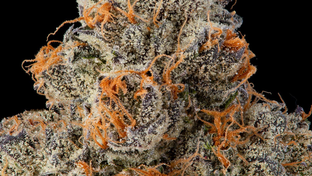 Napa Cannabis Collective 30% Off Fig Farms, Dime Bag Flower, Camino & Kiva