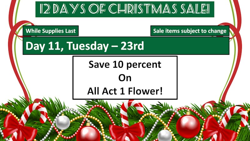 Lakewood Cannabis - Standish 2025 12 Days of Sales - Day 11