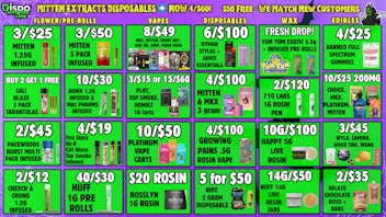 Dispo - Whitmore Lake 🎃$50 Free👻New Customers🎃