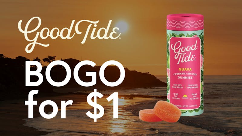 The Artist Tree - Dixon Good Tide BOGO for $1