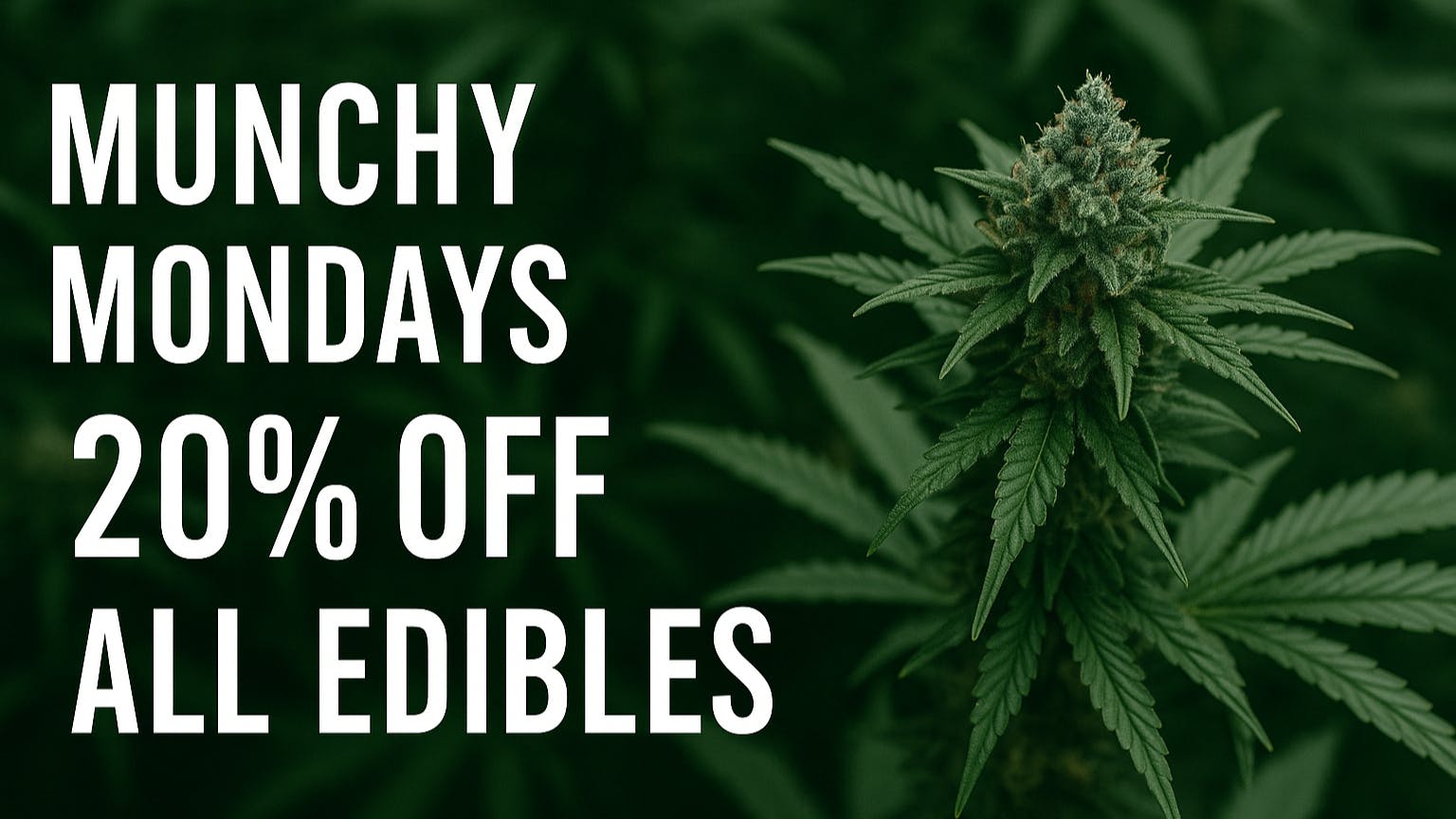 Speedy Janes Munchy Mondays Deal