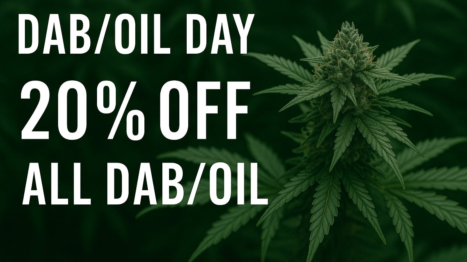 Speedy Janes Dab / Oil Day Discount