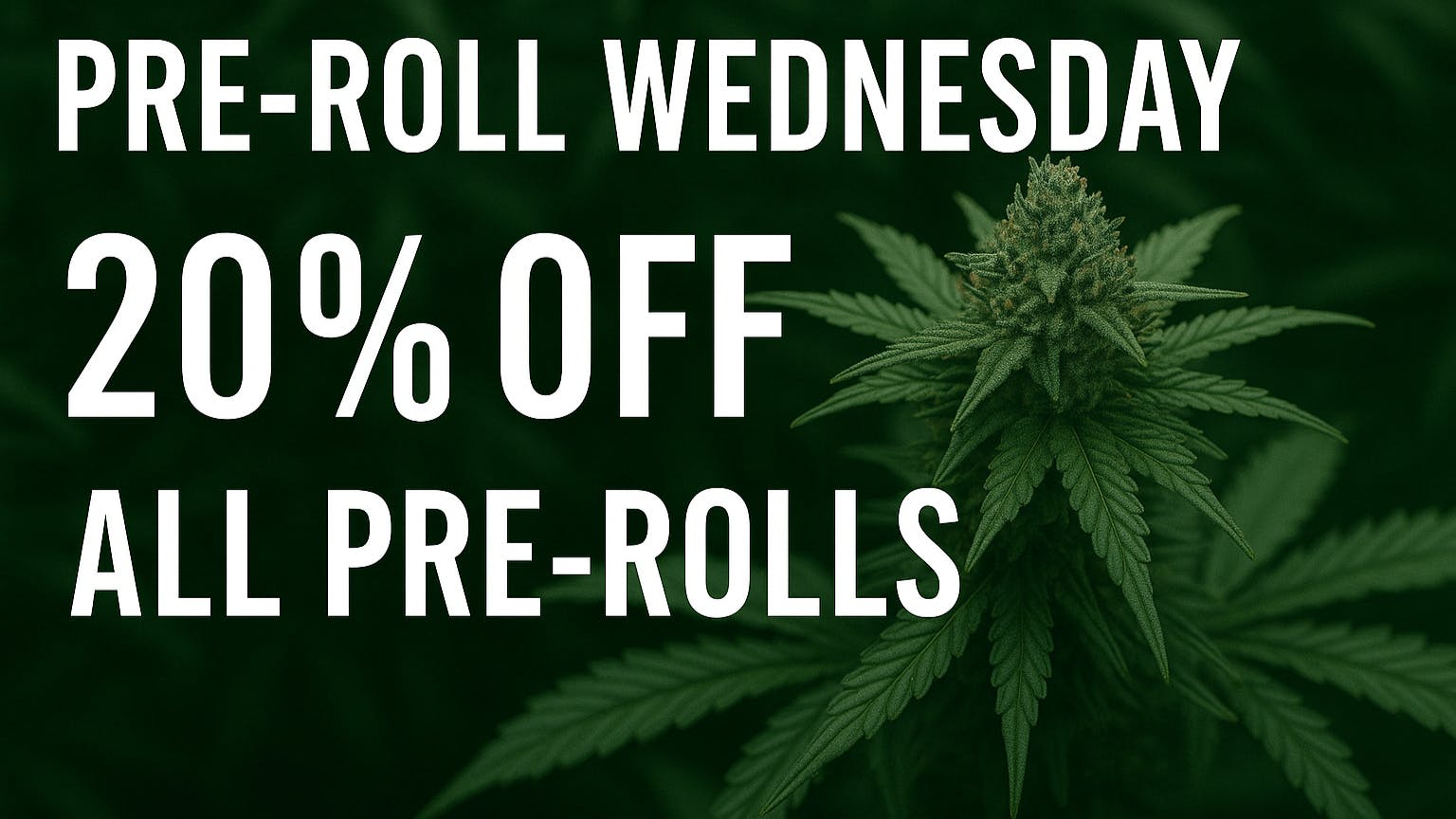Speedy Janes Pre-roll Wednesday
