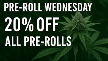 Speedy Janes Pre-roll Wednesday