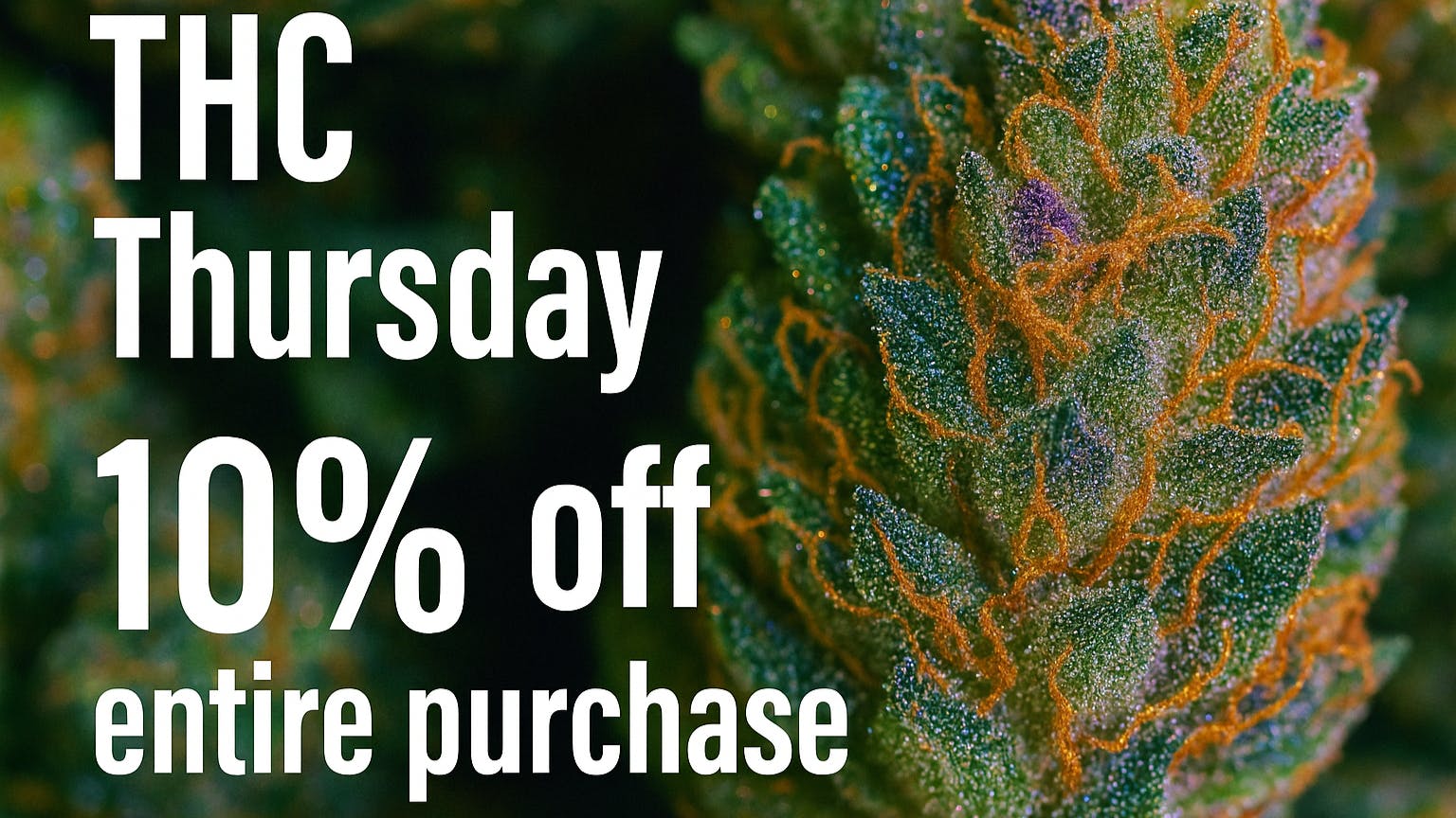 Speedy Janes THC Thursday Discount