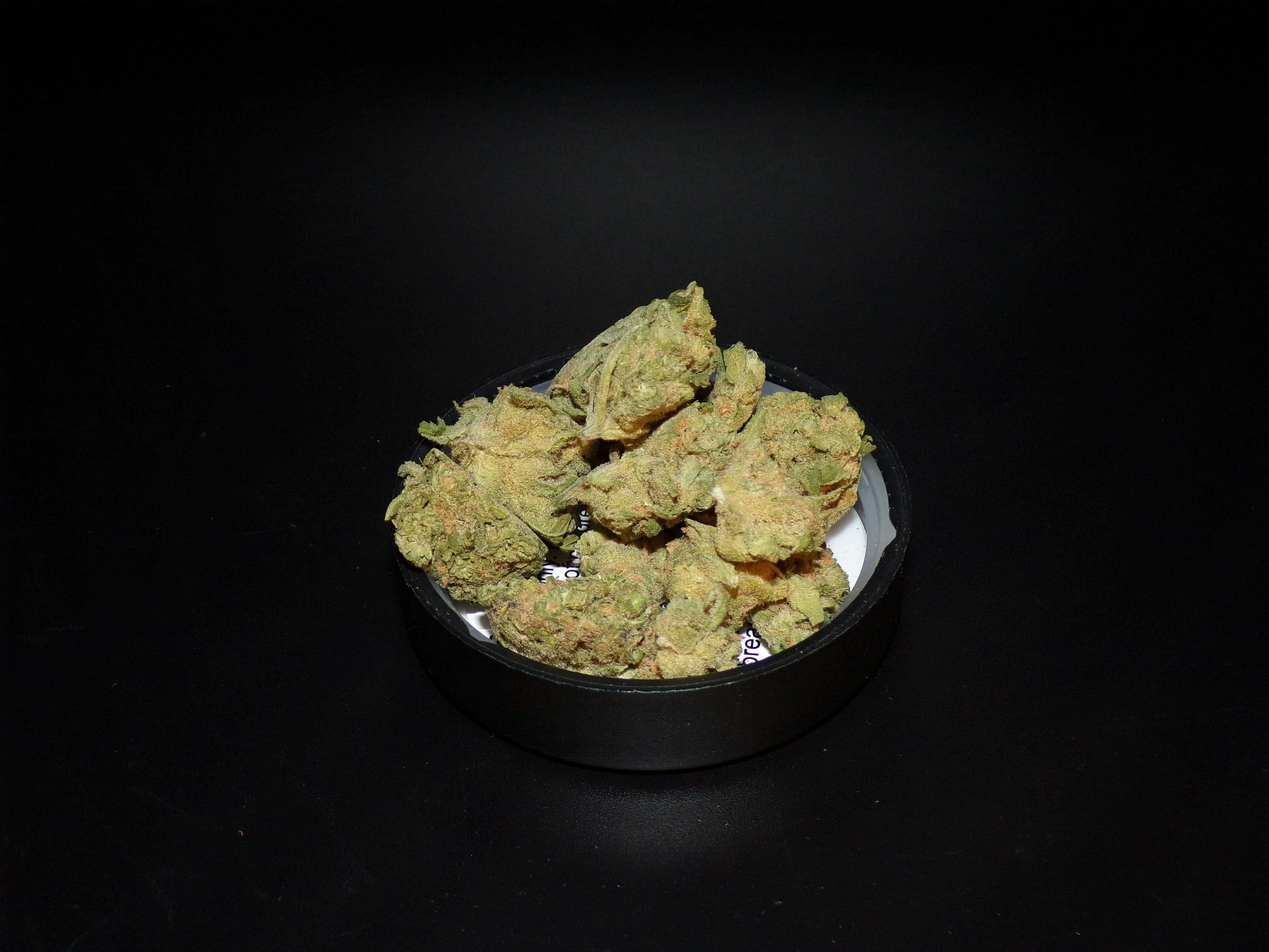 BOLD - Blue Dream 3.5g