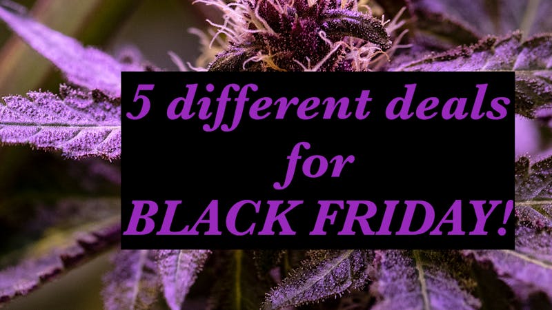 Tops Farm York $45 quarters + 4 more deals!