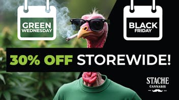 Stache Green Wednesday & Black Friday Sale!