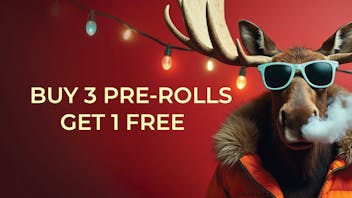 Blossom Cannabis - Biddeford Buy 3 Get 1 FREE Pre-Rolls