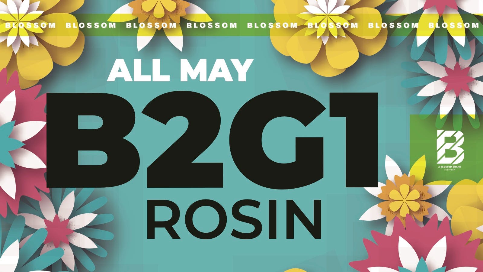Blossom Cannabis - Biddeford 💎 B2G1 – Marmalade Melts Rosin