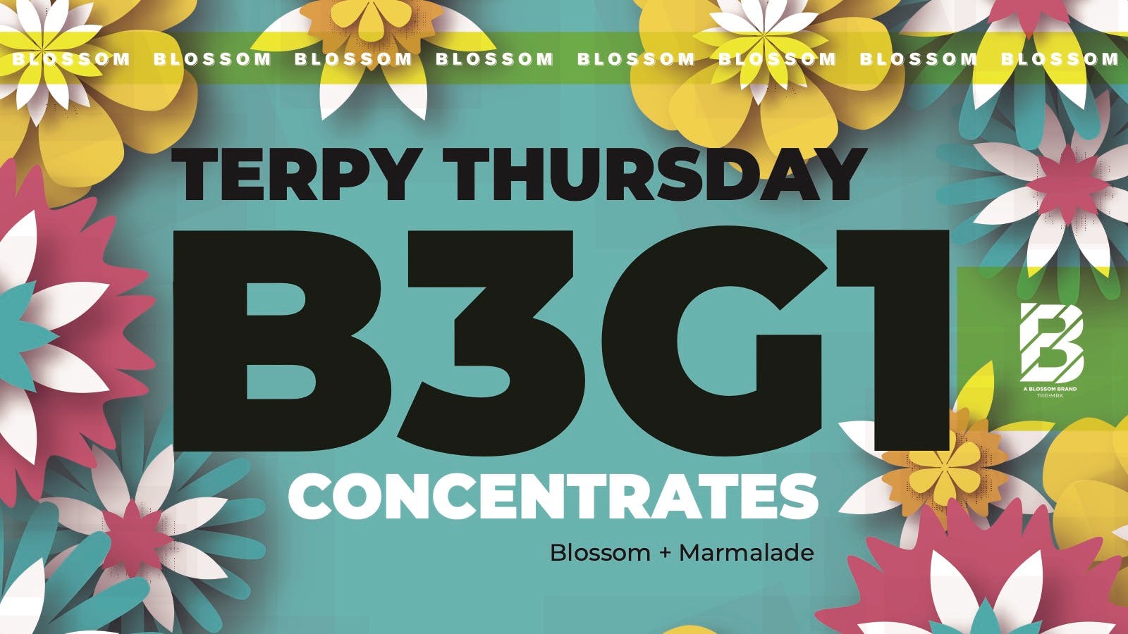 Blossom Cannabis - Saco 💎 Terpy Thursday