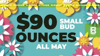 Blossom Cannabis - Biddeford 🌿 $50 Half | $90 Oz – Small Buds