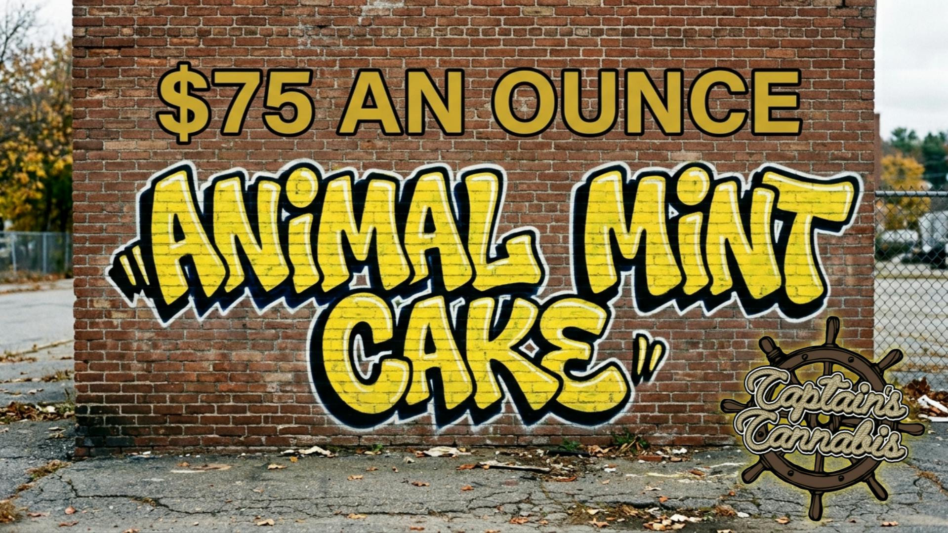 Captain's Cannabis - Sanford ANIMAL MINT CAKE $75