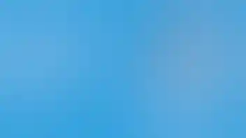 Lemonnade Union City FRIDAY DEAL: BOGO 50% OFF FLOWER!