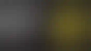 Lemonnade Union City FRIDAY DEAL: BOGO 50% OFF FLOWER