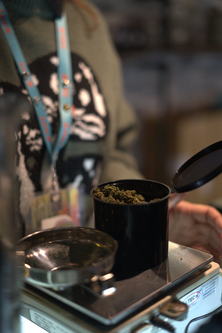 Foresta Cannabis Collection - Dispensary Listing - Photo 1